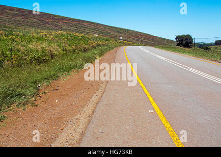 Close up of curving asphalt road with bright yellow and white lines heading through green vegetation against blue sky Foto Stock