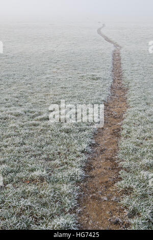 Percorso attraverso un pupazzo di neve con campo di nebbia in inverno. Oxfordshire, Inghilterra Foto Stock