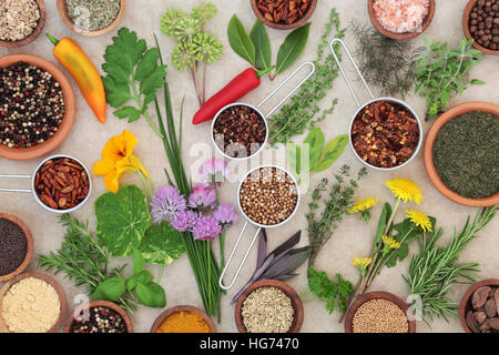 Secca e fresca di spezie ed erbe sulla selezione di canapa lo sfondo della carta. Foto Stock