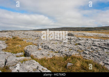 La formazione rocciosa unica denominata Burren nella contea di Clare in Irlanda occidentale costituita principalmente da roccia calcarea Foto Stock