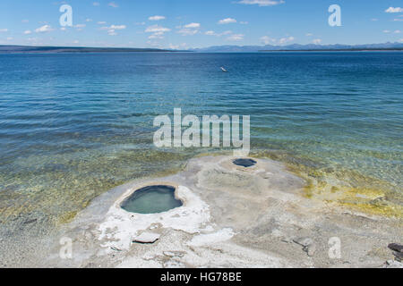 Lakeshore Geyser, West Thumb Geyser Basin, il Parco Nazionale di Yellowstone, Stati Uniti Foto Stock