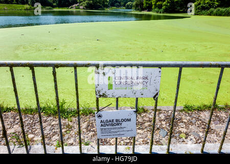 New York City,NY NYC Manhattan,Spanish Harlem,Central Park,urban,Harlem Meer,Lake,sign,warning,alga Bloom advisory,NY160723050 Foto Stock