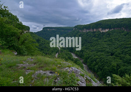 Valle del fiume di montagna Belaya. Repubblica di Adygea. Caucaso occidentale. La Russia Foto Stock