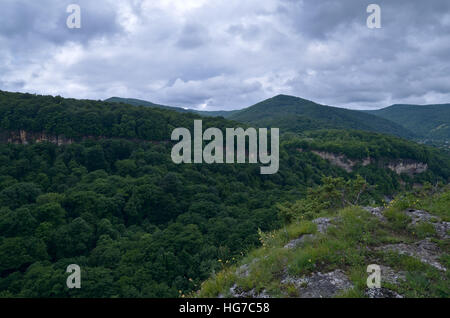 Valle del fiume di montagna Belaya. Repubblica di Adygea. Caucaso occidentale. La Russia Foto Stock