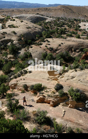 Escursionista inclinato su strati di roccia Dinosaur National Monument Utah Foto Stock