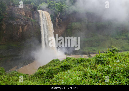 Bella Ekom nascosta una cascata nel profondo della foresta pluviale tropicale del Camerun, Africa Foto Stock