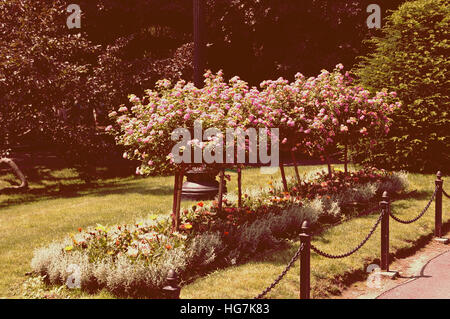 Fioritura struttura decorativa in giardino Foto Stock