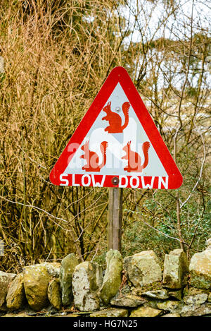 Dipinte a mano e scoiattolo rosso segno di avvertimento sulla A5091 al di sopra di Ullswater nel distretto del Lago Foto Stock