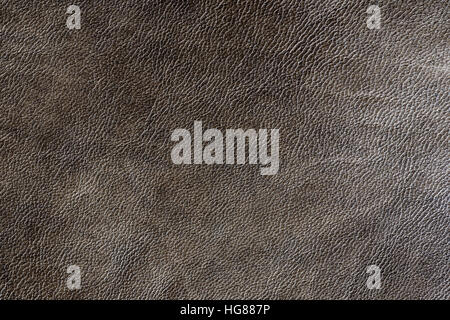 Texture di pelle vicino sfondo Foto Stock