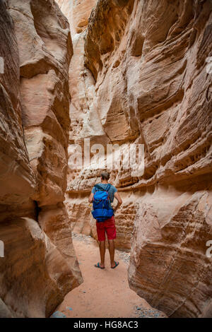 Giovane uomo in piedi nel burrone di Slot Canyon, cupola bianco Trail, arancia rossa roccia arenaria, la Valle del Fuoco del parco statale, Nevada, STATI UNITI D'AMERICA Foto Stock