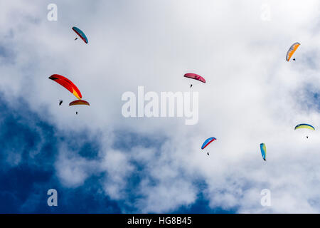 Molti parapendii sono volare in aria, oltre a Pokhara e lago Phewa, Sarangkot, Kaski District, Nepal Foto Stock