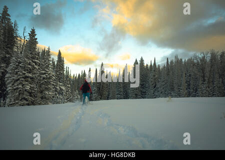 Vista posteriore di un escursionista sciare sulla neve coperto campo contro sky Foto Stock