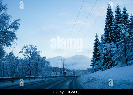 Vista panoramica della strada in mezzo alberi sul campo durante il periodo invernale Foto Stock