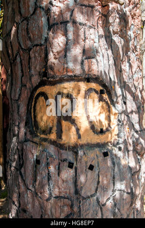 "Cro' il simbolo tagliato in albero da Colonia persa a Isola Roanoke North Carolina Foto Stock