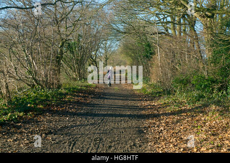 Marriott il modo in disuso la linea ferroviaria su Norwich a Aylsham ferrovia a Reepham Norfolk Foto Stock