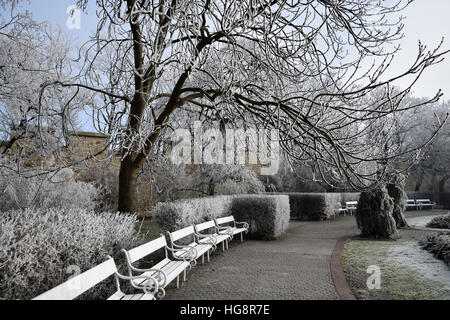 Scena invernale sulla collina di Petřín a Praga, Capodanno 2017. Foto Stock