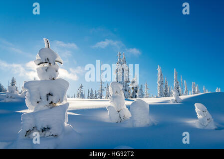 Winter Wonderland Okanagan connettore, Autostrada Coquihalla vertice, British Columbia, Canada. Foto Stock