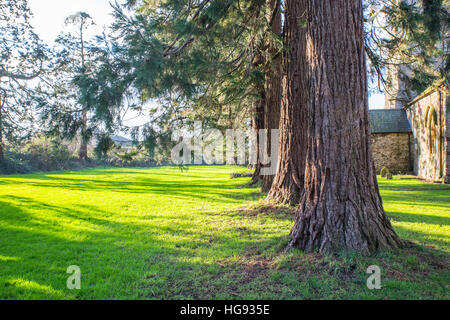 St sposa la Chiesa, Wentloog Foto Stock