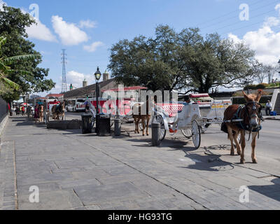 Muli e i carrelli in attesa per i clienti al di fuori di Jackson Square, New Orleans Foto Stock