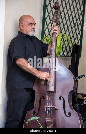 Musicista giocando Double Bass nel ristorante, Old Havana, Cuba Foto Stock