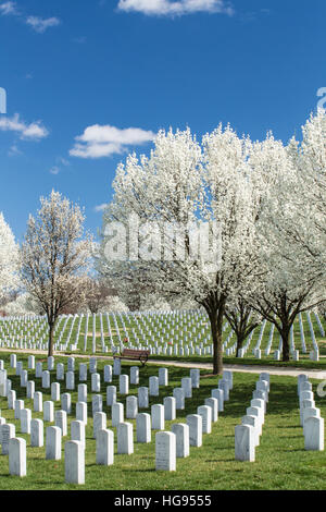 Lapidi Caserma Jefferson National Cemetery, St Louis, Mo. Foto Stock