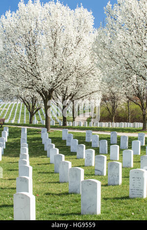 Lapidi Caserma Jefferson National Cemetery, St Louis, Mo. Foto Stock