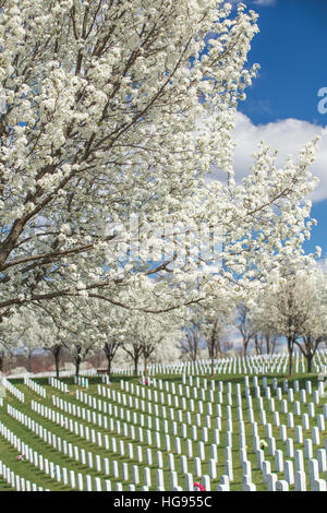 Lapidi Caserma Jefferson National Cemetery, St Louis, Mo. Foto Stock