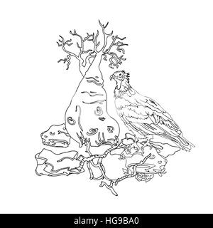 Vulture Socotra isola sulla pietra , bottiglia tree, un bianco e nero illustrazione incisione per la verniciatura nel colore o tatuaggio vintag Illustrazione Vettoriale