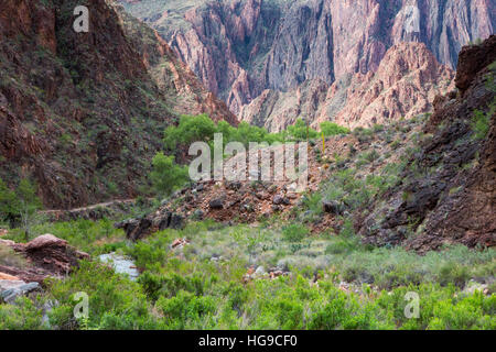 Il Vishnu Metamorfico salendo dietro il North Kaibab Trail e il Bright Angel Creek. Parco Nazionale del Grand Canyon, Arizona Foto Stock