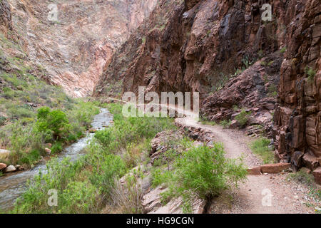 Il Bright Angel Creek e il Nord Kaibab Sentiero escursionistico avvolgimento attraverso il Grand Canyon. Parco Nazionale del Grand Canyon, Arizona Foto Stock