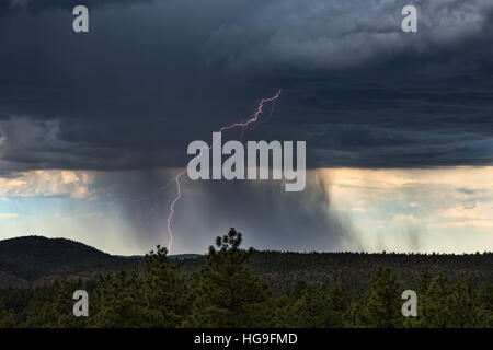 Temporale estivo con lampi e pioggia nei pressi di Payson, Arizona Foto Stock