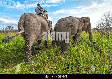Elephant equitazione in modo Kambas Parco Nazionale, Lampung, Sumatra, Indonesia. Foto Stock