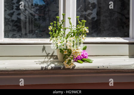 Una casa vecchia finestra decorata con vasi di fiori a Bamberg in Germania Foto Stock