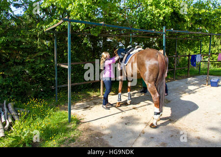 Giovane donna sella il suo cavallo Foto Stock