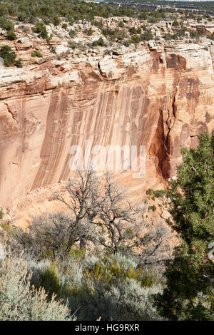 Scogliera di arenaria entro il Colorado National Monument vicino a Grand Junction, Colorado, Stati Uniti d'America. Gli strati delle scogliere può mostrare formazioni geologiche dell'Precamb Foto Stock