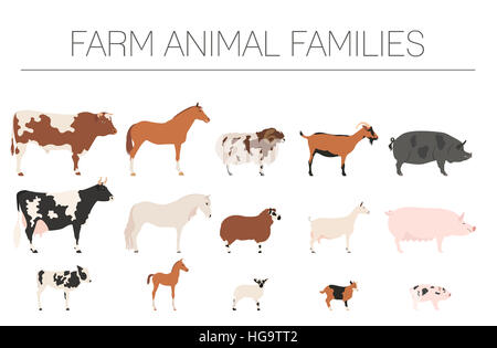 Fattoria di famiglia animall collezione. Bovini, ovini, suini, cavallo, capra icon set. Design piatto. Illustrazione Vettoriale Foto Stock