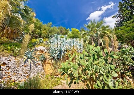 Piante mediterranee verde paesaggio vista collina Foto Stock