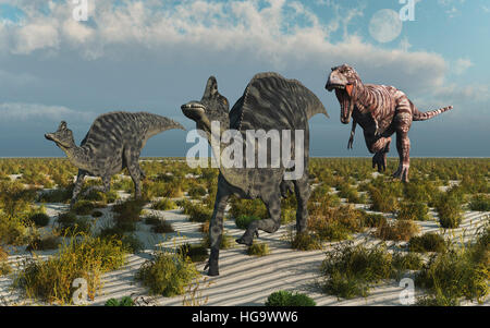Un carnivoro T.REX dinosauro ,a caccia di una coppia di erbivoro Velafrons Foto Stock