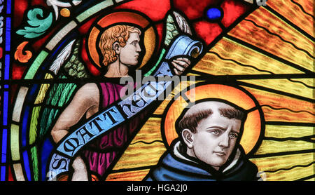 Vetrata raffigurante san Tommaso d Aquino (1225 - 1274), Italiano frate domenicano, sacerdote cattolico e dottore della Chiesa, nella Cattedrale di Mechelen, Foto Stock