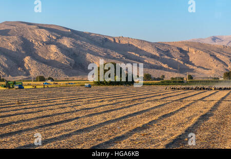 Paesaggio rurale di far provincia in Iran Foto Stock