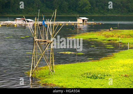 Vista del lago Buyan a Bali, in Indonesia Foto Stock