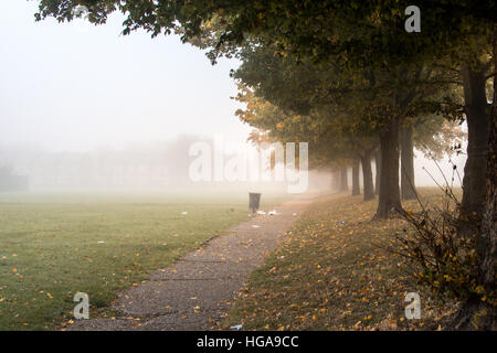 Pesante nebbia densa in un parco Foto Stock