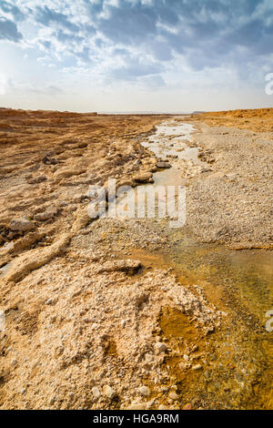 Wadi nel sud del Marocco sono stagionali di alimentazione di acqua per l'OASI Foto Stock