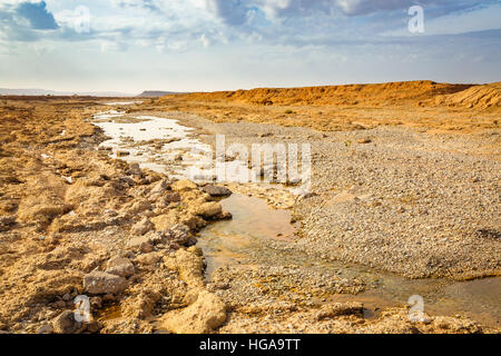 Wadi nel sud del Marocco sono stagionali di alimentazione di acqua per l'OASI Foto Stock