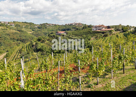 Rurale pittoresco paesaggio mediterraneo con village, vigneti e montagne Foto Stock