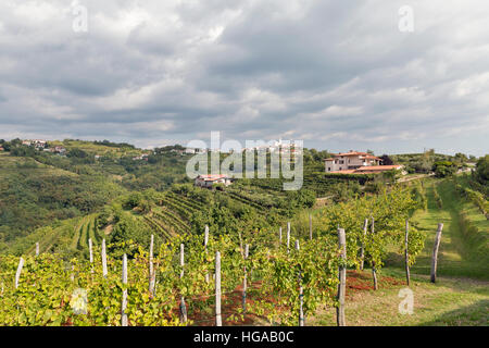 Rurali paesaggio mediterraneo con Smartno villaggio medievale e vigneti. Regione Brda in Slovenia occidentale. Foto Stock