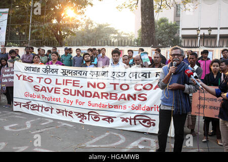 Dacca in Bangladesh. Il 7 gennaio, 2017. Gennaio 07 Dhaka, attivisti Bangladesh-Environmental protesta contro la Rampal impianto alimentato a carbone progetto vicino la Sundarbans, a Dhaka il 7 gennaio 2017. A livello globale le organizzazioni ambientali hanno spinto le autorità del Bangladesh a respingere la Rampal impianto alimentato a carbone progetto al fine di proteggere la Sundarbans, il più grande del mondo la foresta di mangrovie e anche la casa al mondo solo la popolazione di foresta di mangrovie tigri. © Monirul Alam © Monirul Alam/ZUMA filo/Alamy Live News Foto Stock