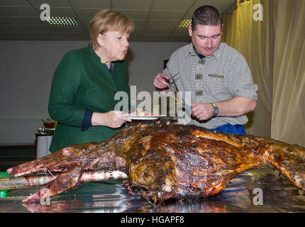 Trinwillershagen, Germania. Il 6 gennaio, 2017. Il cancelliere tedesco Angela Merkel (CDU) in piedi da macellaio Andre Steuerung e attende il primo pezzo di arrosto di cinghiale in un nuovo anno di ricezione del Landrat del distretto Vorpommern-Ruegen, in Trinwillershagen, Germania, 6 gennaio 2017. Merkel ha rappresentato il Stralsund-Greifswald-Ruegen-Vorpommern circoscrizione nel Bundestag dal 1990. Foto: Stefan Sauer/dpa-Zentralbild/dpa/Alamy Live News Foto Stock