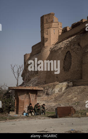 Raqqa, Siria. Il 7 gennaio, 2016. La SDF (Siriano Forze Democratiche) con YPG (curdi) ha riportato il famoso castello di Iside. - Chris Huby / Le Pictorium / Alamy Live News Foto Stock