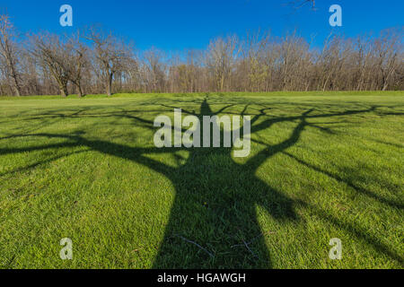 Ombre di albero che attraversa il paesaggio del Tumulo città di gruppo, dove una civiltà di inizio gli indiani americani hanno prosperato circa duemila anni fa, ora preserv Foto Stock